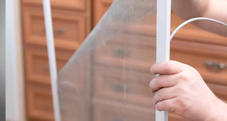 Privacy Mesh Screen Door Installation in Dania Beach, FL